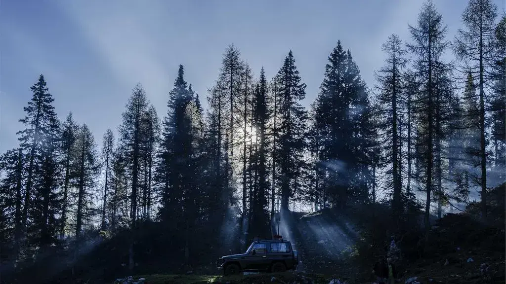 Experienţele cu cina regală din Sinaia