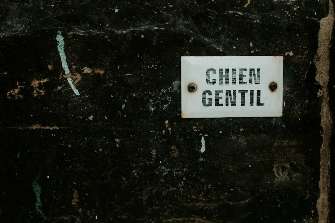 Ghid util de conversație: Cum saluți și mulțumești în limba română