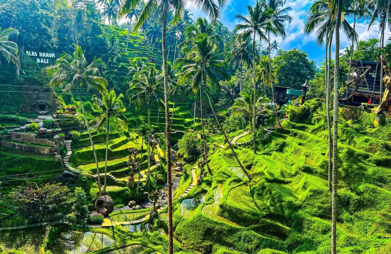 Zboruri ieftine spre Bali: bilete dus-întors de la 634 de euro