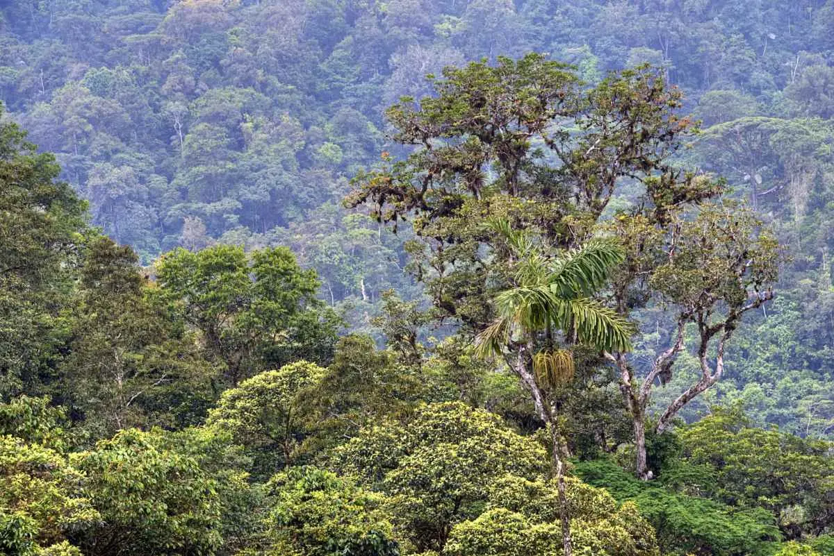 Costa Rica lansează noi standarde pentru eco-lodges, protejând biodiversitatea tropicală