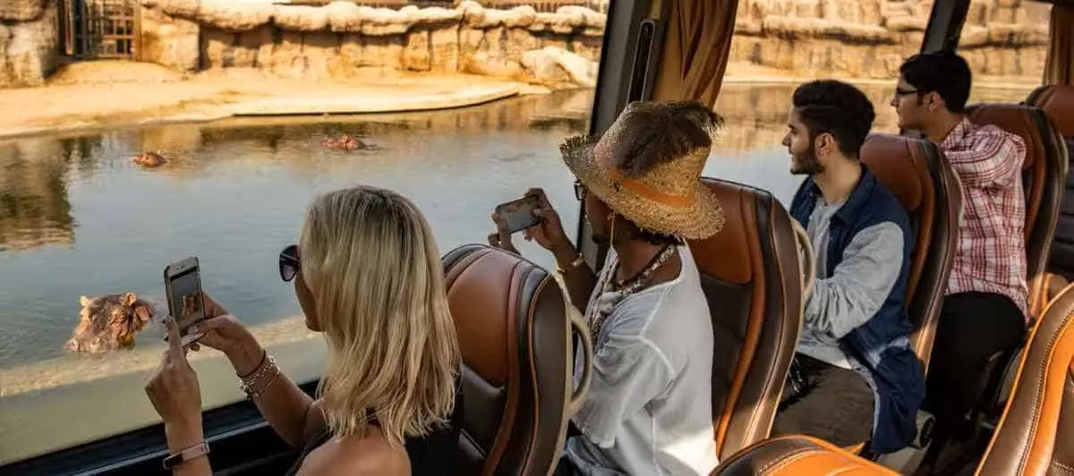 Safarile din desertul Dubai devin mai responsabile: natura și cultura în prim-plan